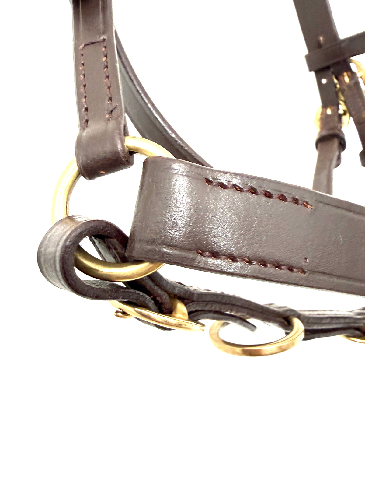 "Show bridle brass buckle and cheekpiece close up – Sui Saddlery"