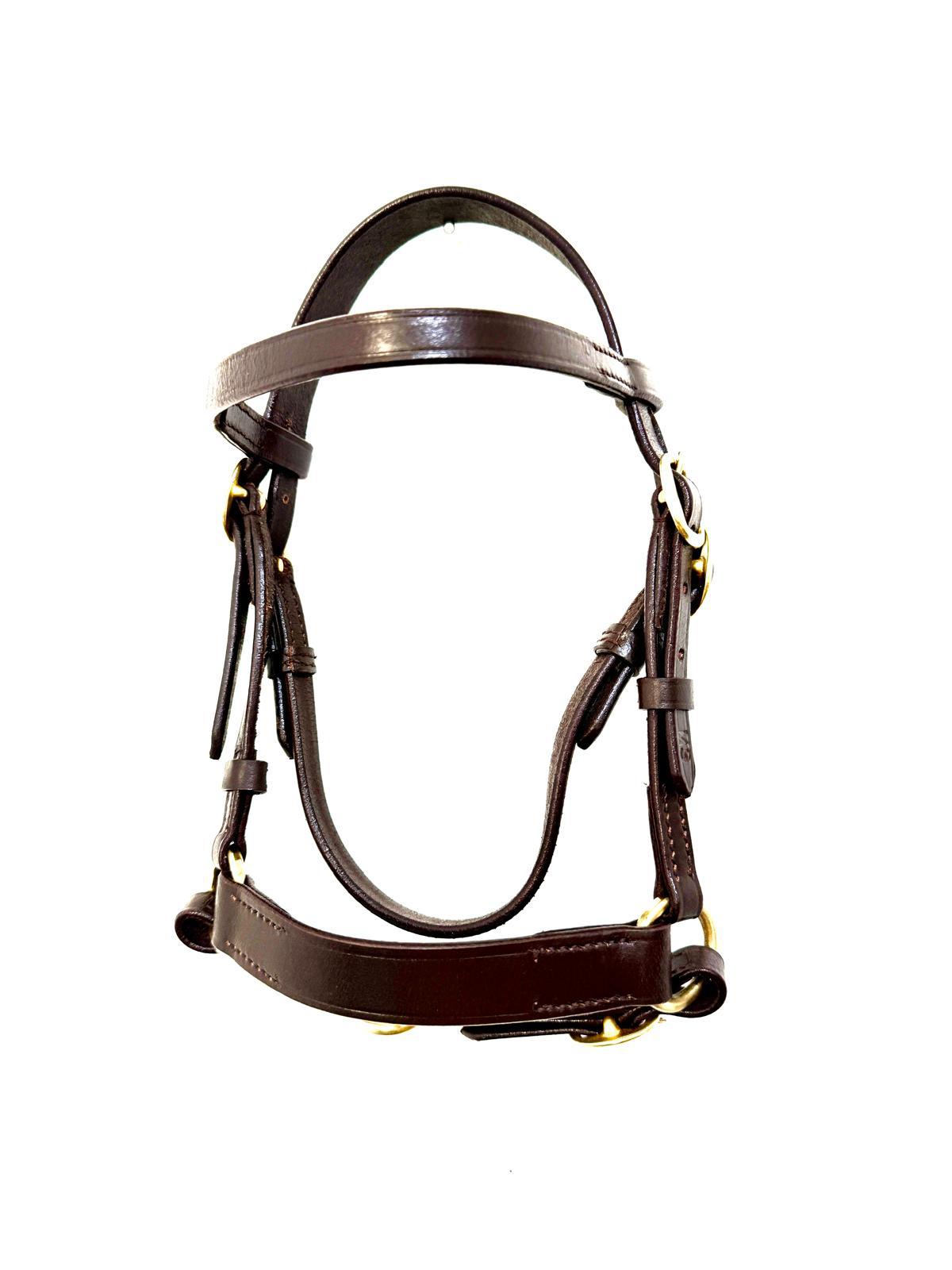 "In-hand show bridle brass fittings mini Shetland size – Sui Saddlery"
