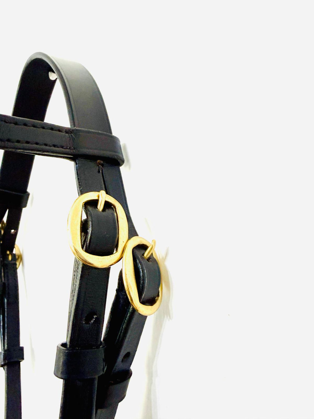 "In-hand show bridle brass fittings pony size – Sui Saddlery"