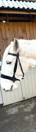 "Heavy horse hunter bridle black leather extra wide – Sui Saddlery"