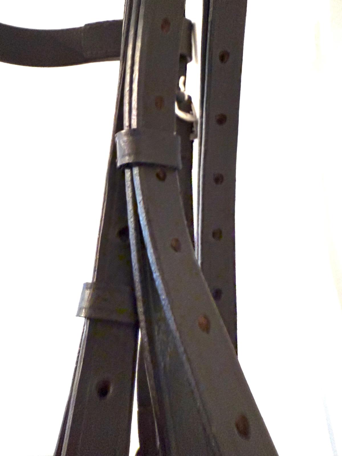 "Heavy horse hunter bridle havana leather browband detail – Sui Saddlery"