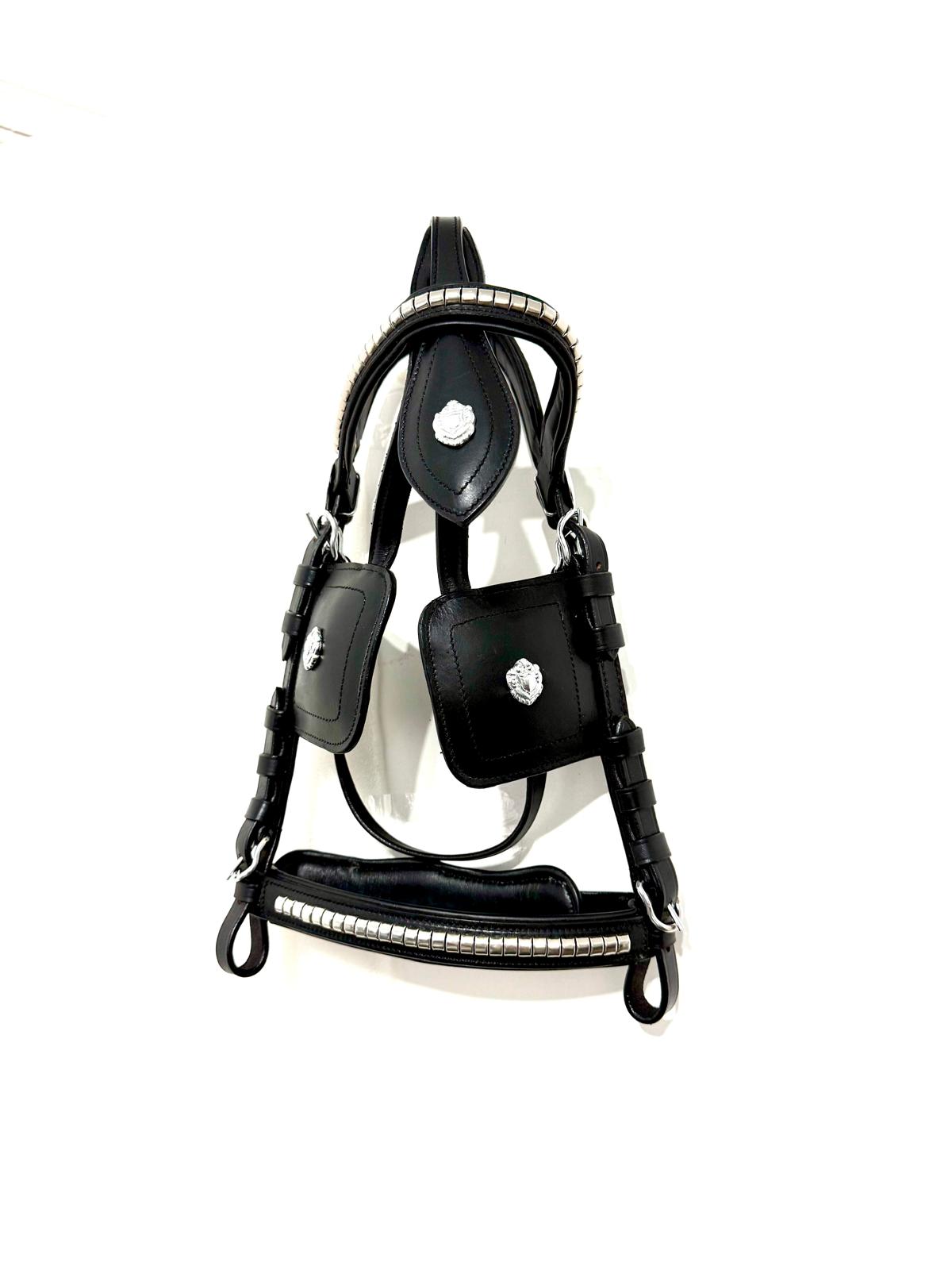 "Shetland driving bridle buckle and noseband detail – Sui Saddlery"