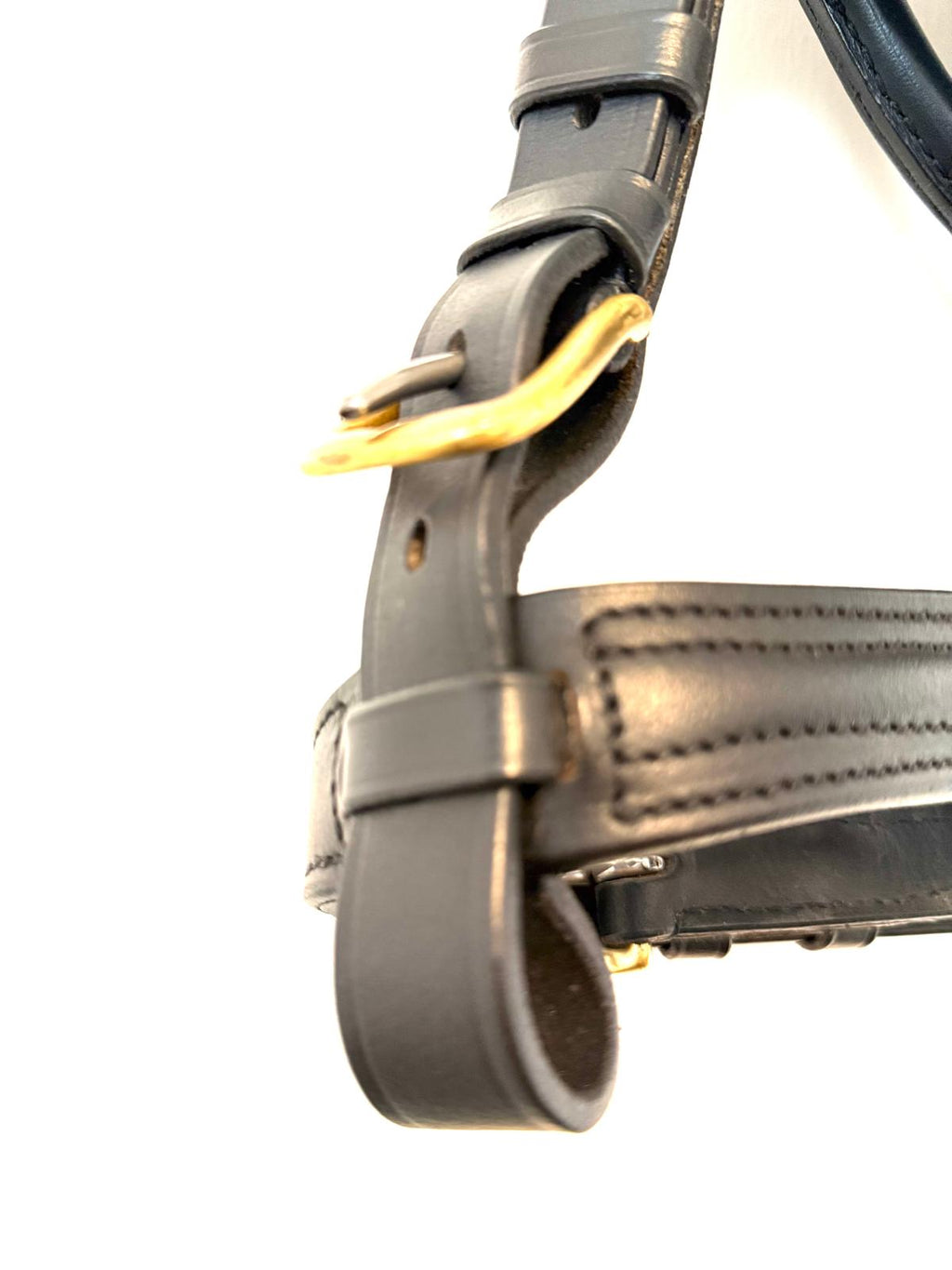 "Brass browband detail on black patent draft horse driving bridle – Sui Saddlery"