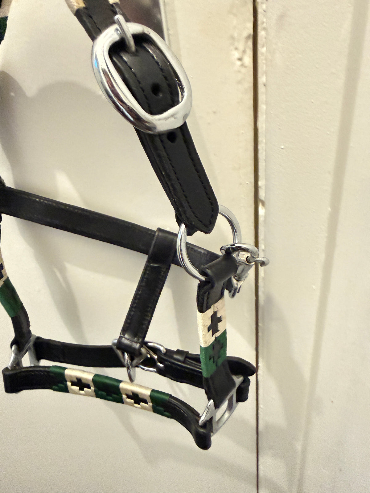 "Mini Shetland head collar green cream leather buckle detail – Sui Saddlery"